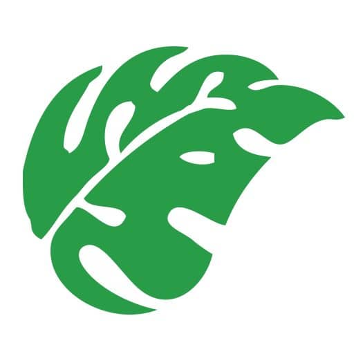 Welcome to Organization for Tropical Studies - Organization for 