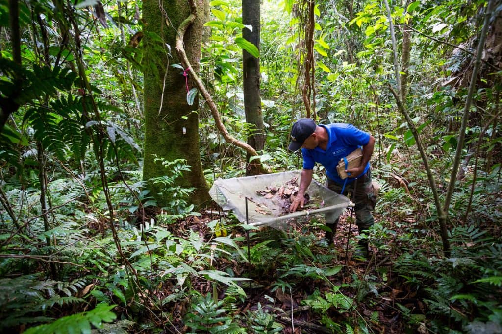 La Selva Research Station - Organization for Tropical Studies