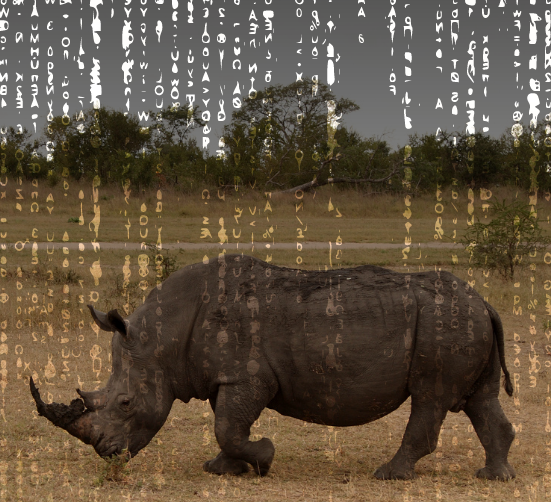 Facebook DATA VIZ May 2021 rhino rain cropped