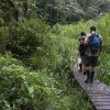 http://Butterfly%20Ecology