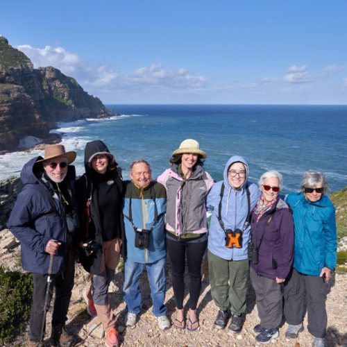 Image (17) Image (17)