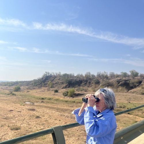 Image (20) Image (20)