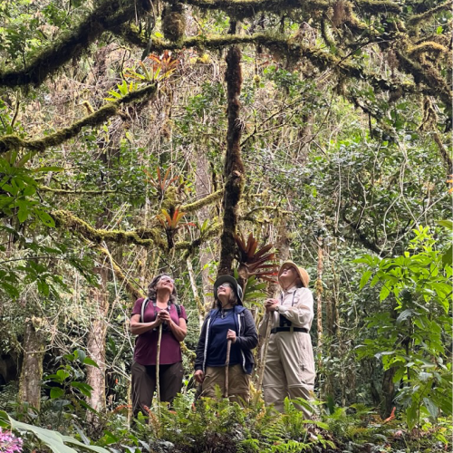 Wandering with Wonder: A First-Time Explorer’s OTS Experience