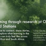 Image - 2025-12-19T134004.807