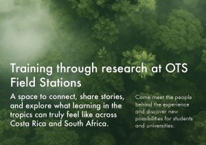 Image - 2025-12-19T134004.807