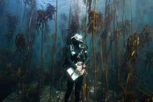 PHOTO-2025-11-12-20-27-16