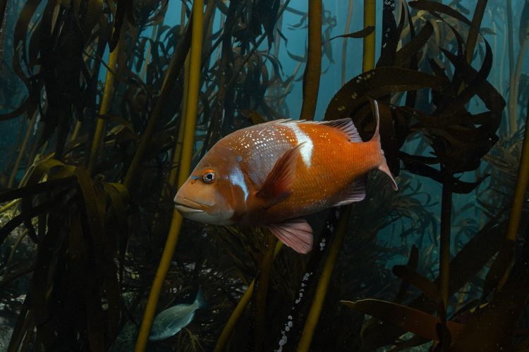 PHOTO-2025-11-12-20-27-19